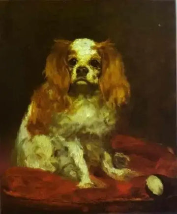 A King Charles Spaniel