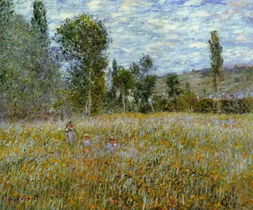 A Meadow