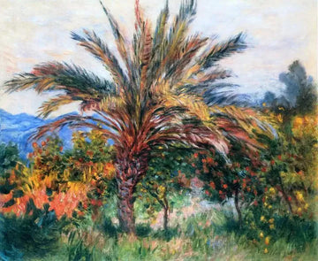 A Palm Tree At Bordighera