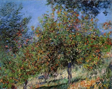 Apple Trees On The Chantemesle Hill