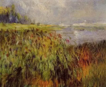 Bulrushes On The Banks Of The Seine