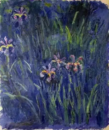 Irises