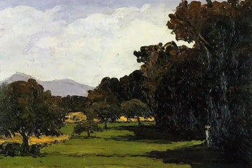 Landscape Near Aix En Provence