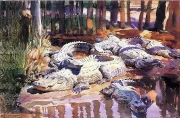 Muddy Aligators