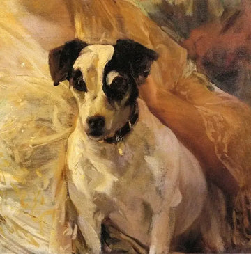 Portrait of a Jack Russell