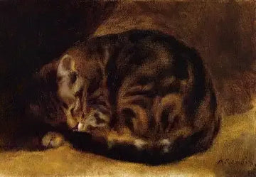 Sleeping Cat