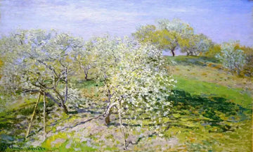 Springtime Aka Apple Trees In Bloom