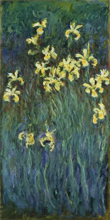 Yellow Irises