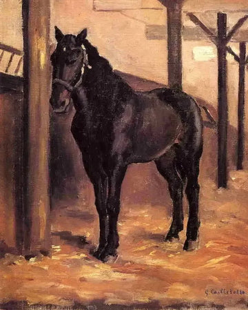 Yerres Dark Bay Horse In The Stable